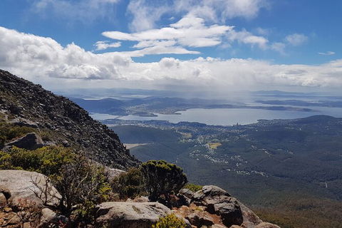 Mt. Wellington Morning Hike + Afternoon Beer & History Walk - Tourism Caloundra 5
