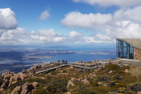 Mt. Wellington Morning Hike + Afternoon Beer & History Walk - Tourism Caloundra 3