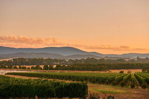 Yarra Valley Wine Masterclass - Up To 6 - Tourism Caloundra 0