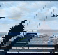 Private Transfer Avalon International Airport AVV to Melbourne - Tourism Caloundra