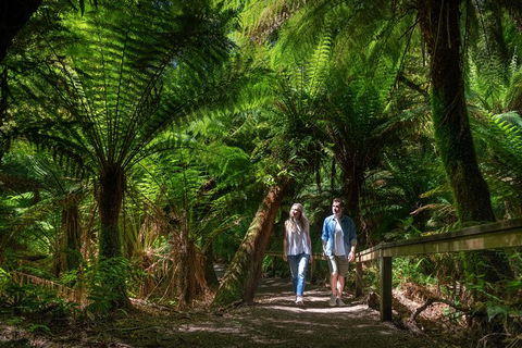The Great Ocean Road Private 1 Day Tour - Tourism Caloundra 2