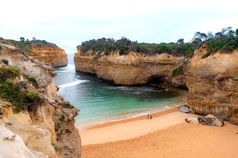 The Great Ocean Road Private 1 Day Tour - Tourism Caloundra 6