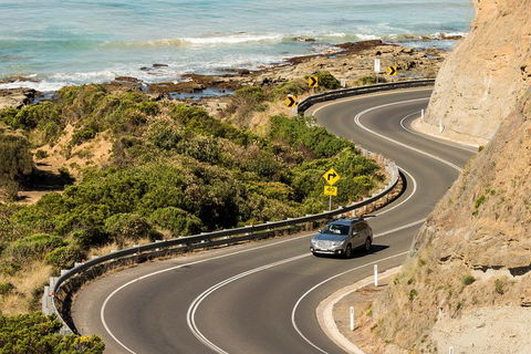 The Great Ocean Road Private 1 Day Tour - Tourism Caloundra 5