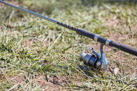Skip The Line: Fishing Experience Ticket - Buxton Trout & Salmon - Tourism Caloundra 14