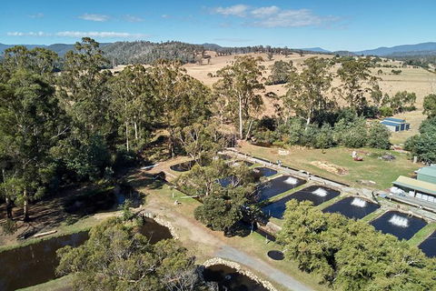 Skip The Line: Fishing Experience Ticket - Buxton Trout & Salmon - Tourism Caloundra 0