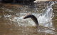 Skip The Line: Fishing Experience Ticket - Buxton Trout & Salmon - thumb 18