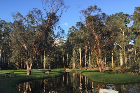 Skip The Line: Fishing Experience Ticket - Buxton Trout & Salmon - Tourism Caloundra 17