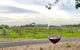 Cycle Tour | Guided | Bellarine Peninsula Victoria | Food & Wine Region - thumb 2