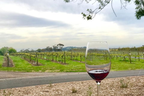 Cycle Tour | Guided | Bellarine Peninsula Victoria | Food & Wine Region - Tourism Caloundra 2