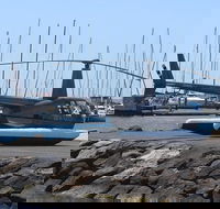 Geelong Helicopter Joy Flights - Tourism Caloundra