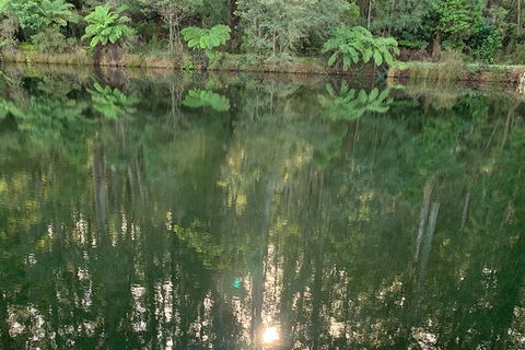 Hiking Tour To Aqueduct And Warburton Valley Lookout - Tourism Caloundra 2