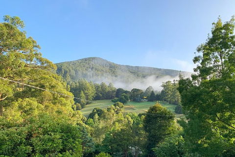 Hiking Tour To Aqueduct And Warburton Valley Lookout - Tourism Caloundra 0