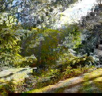 Private Aqueduct to California Redwoods Hiking Tour - Tourism Caloundra