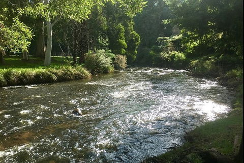 Watertube Experience In Yarra River - Tourism Caloundra 3