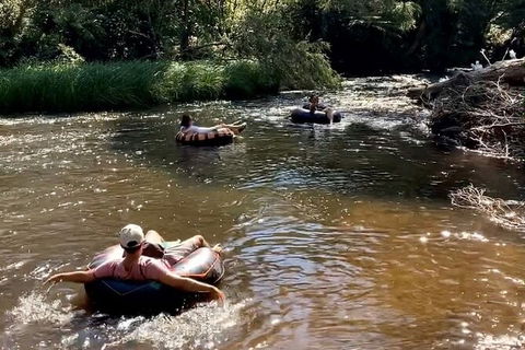 Watertube Experience In Yarra River - Tourism Caloundra 8