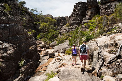 Two Day Melbourne To Adelaide Tour - Great Ocean Road & Grampians - Tourism Caloundra 1