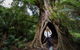 Two Day Melbourne To Adelaide Tour - Great Ocean Road & Grampians - thumb 14