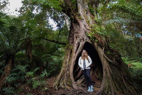 Two Day Melbourne To Adelaide Tour - Great Ocean Road & Grampians - Tourism Caloundra 14