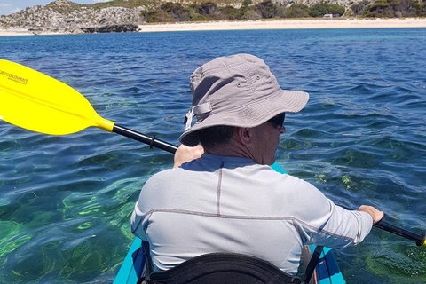 Rottnest Glass Bottom Kayaking Tour - Tourism Caloundra 1