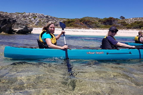Rottnest Glass Bottom Kayaking Tour - Tourism Caloundra 2