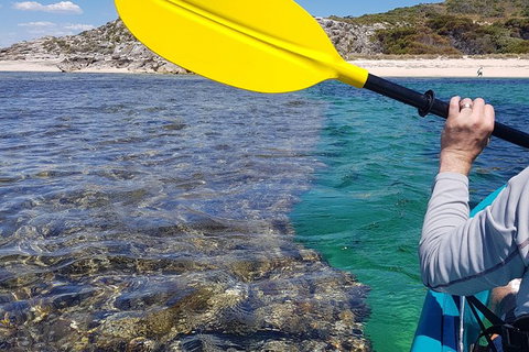 Rottnest Glass Bottom Kayaking Tour - Tourism Caloundra 3