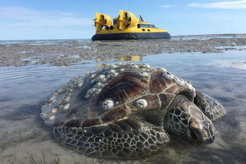 Prehistoric Bubbles And Nibbles Hovercraft Tour - Tourism Caloundra 2