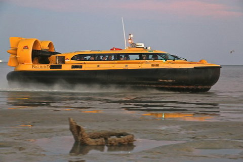 Prehistoric Bubbles And Nibbles Hovercraft Tour - Tourism Caloundra 4