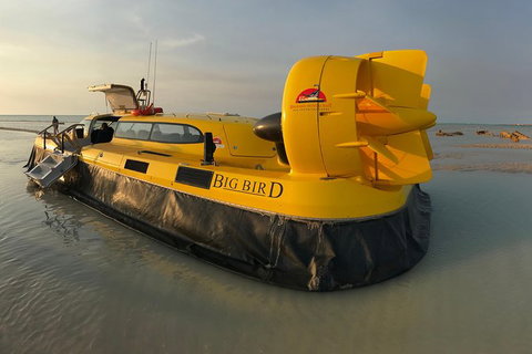Prehistoric Bubbles And Nibbles Hovercraft Tour - Tourism Caloundra 0