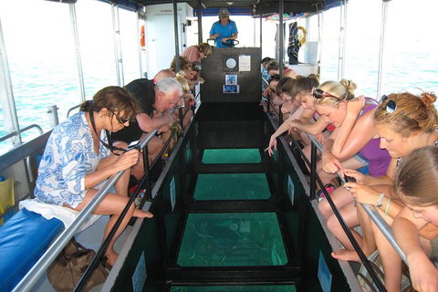 Coral Bay 1-Hour Coral Viewing - Tourism Caloundra 3
