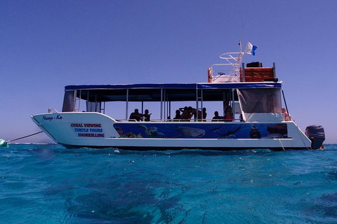 Coral Bay 1-Hour Coral Viewing - Tourism Caloundra 1