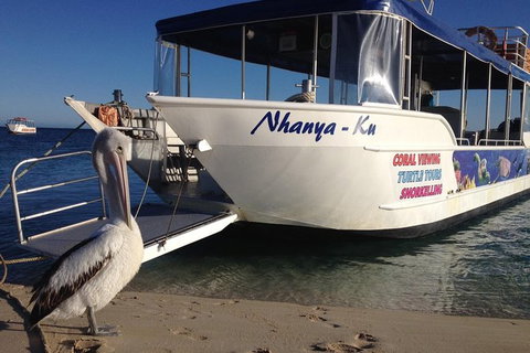 Coral Bay 1-Hour Coral Viewing - Tourism Caloundra 0