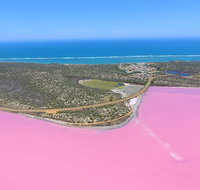 Pink Lake  Abrolhos Islands Nature Tour - Tourism Caloundra