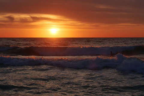 Australian Animals, Seascape And Sunset Photography Tour - Tourism Caloundra 0