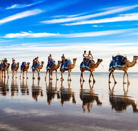 Broome Pre-sunset Camel Tour 30 minutes - Tourism Caloundra