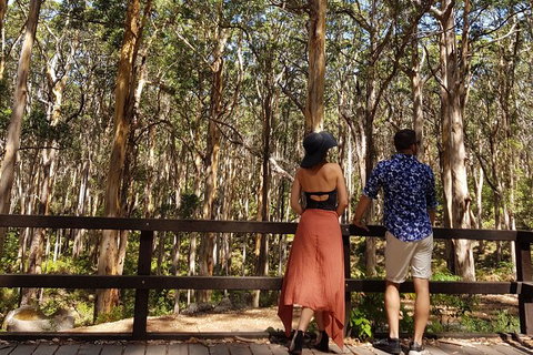 Private Tour Margaret River - Tourism Caloundra 7