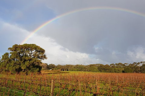 Private Tour Margaret River - Tourism Caloundra 5