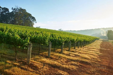 Botanical Gardens, Winery And Scenic Full Day Tour - Tourism Caloundra 2