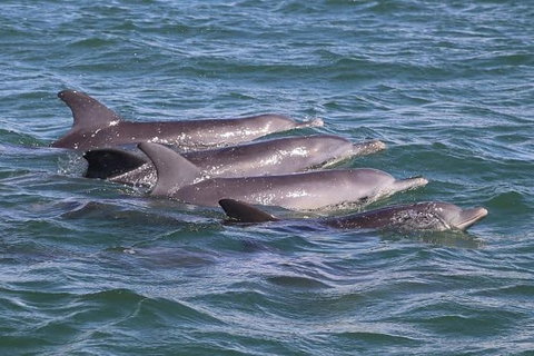 Romance Cruise + Scenic Tour + Beer Tasting + 3 Course Lunch + Hamper - Tourism Caloundra 7