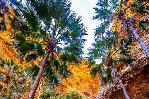 Bungles Day Trek Extended (with Echidna Chasm) - Tourism Caloundra 1