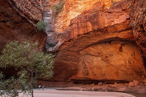 Bungles Day Trek Extended (with Echidna Chasm) - Tourism Caloundra 0