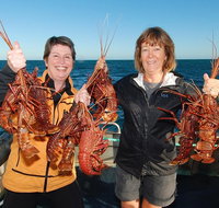 Abrolhos Islands 5 Day Tours - Tourism Caloundra