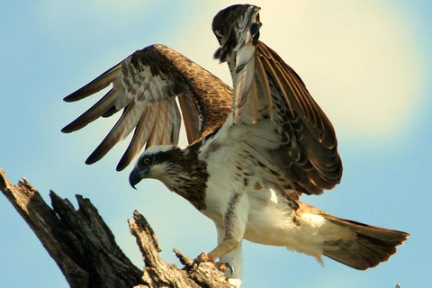 Ord River Discoverer With Sunset - Tourism Caloundra 1