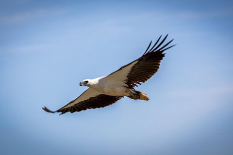 Ord River Discoverer With Sunset - Tourism Caloundra 4
