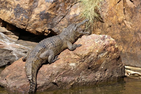 Ord River Experience With Riverside Lunch - Tourism Caloundra 2