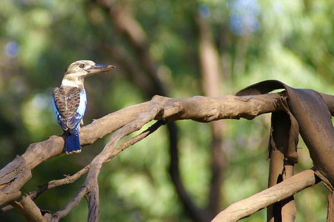 Ord River Experience With Riverside Lunch - Tourism Caloundra 1