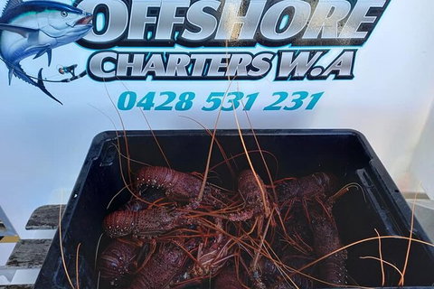 Lobster Fishing Tour At Geraldton - Tourism Caloundra 0