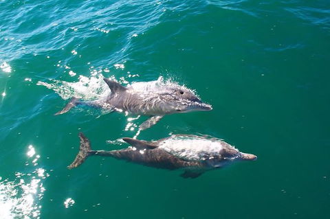 Sailing Kayak Adventure Through The Peel Harvey Estuary - Tourism Caloundra 1