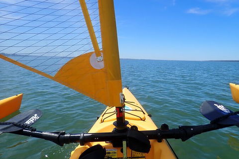 Sailing Kayak Adventure Through The Peel Harvey Estuary - Tourism Caloundra 2