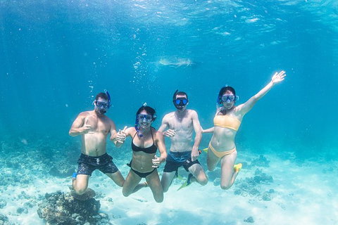 Full-Day Whale Sharks Swimming Experience On Ningaloo Reef - Tourism Caloundra 5