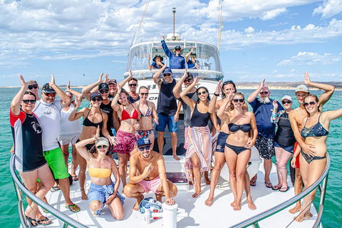 Full-Day Whale Sharks Swimming Experience On Ningaloo Reef - Tourism Caloundra 1